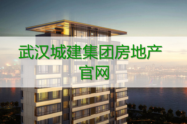 武汉城建集团房地产网站