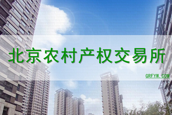 北京农村产权交易所网站