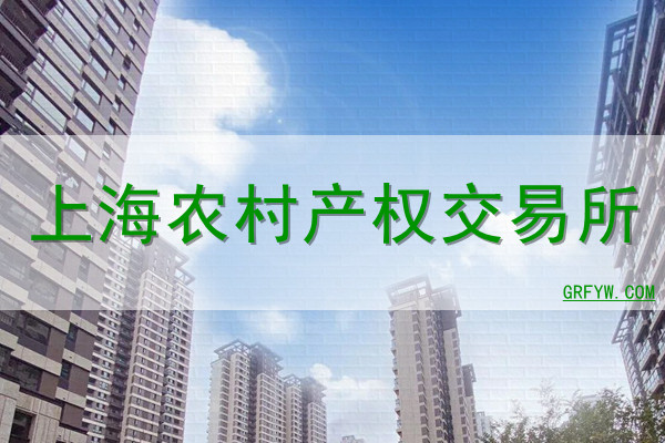 上海农村产权交易所网站